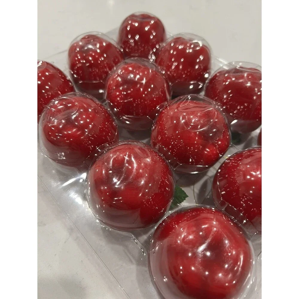 Vintage Lot 12 Hanging Christmas Apples Ornaments (New Sealed) Red Holiday